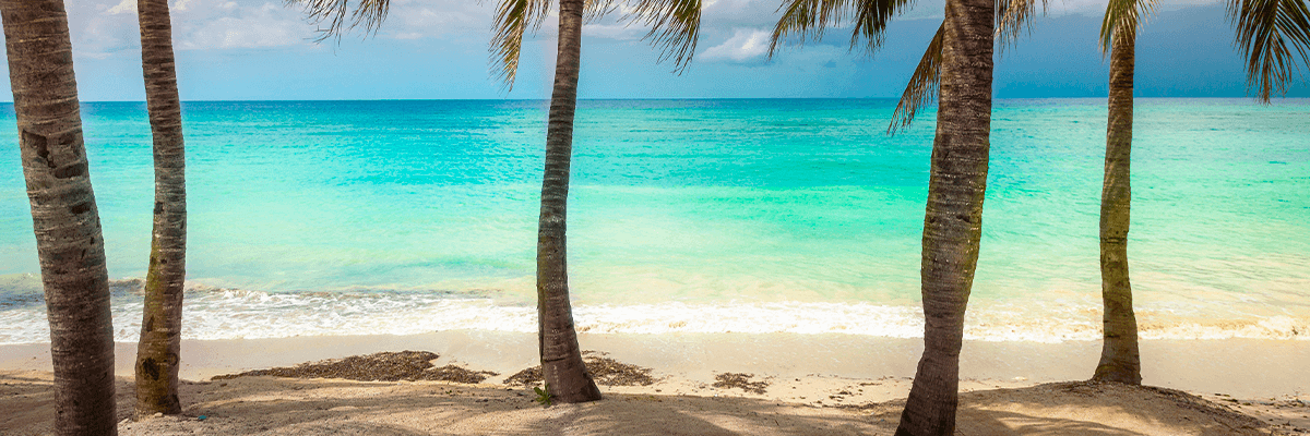 Limited Time Exclusive Offer: Save up to $100 Per Couple on South Packages