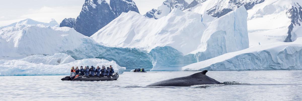 Solde exclusif - Expéditions tout compris en 2025